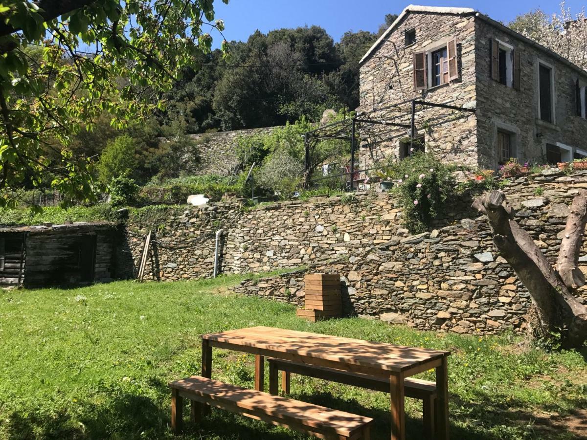 Maison De Charme Corse Sauvage Pietra-di-Verde Exterior photo